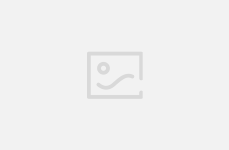 自然资源部标准地图服务